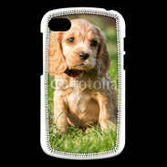 Coque Blackberry Q10 Chiot cocker Spaniel
