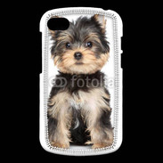 Coque Blackberry Q10 Chiot Yorkshire terrier 25