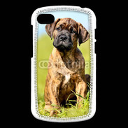 Coque Blackberry Q10 Portrait d'un mastiff