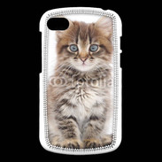 Coque Blackberry Q10 Portrait d'un chaton 75