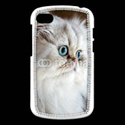 Coque Blackberry Q10 Magnifique chat persan aux yeux bleus