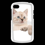 Coque Blackberry Q10 Petit chaton en portrait