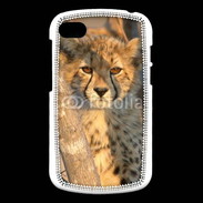 Coque Blackberry Q10 Jeune félin