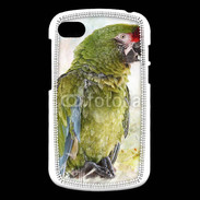 Coque Blackberry Q10 Perroquet en aquarelle