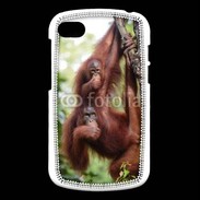 Coque Blackberry Q10 Famille de singe 50