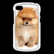 Coque Blackberry Q10 Chiot Spitz 15