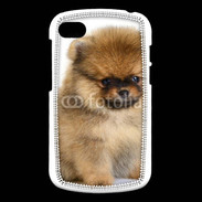 Coque Blackberry Q10 Chiot Pomeranian 15