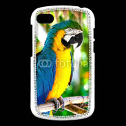 Coque Blackberry Q10 Portrait de perroquet 500