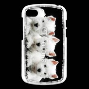 Coque Blackberry Q10 Trio de chiot Terrier