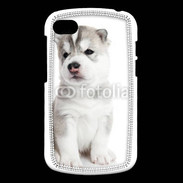 Coque Blackberry Q10 Chiot Husky Sibérien 500