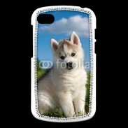 Coque Blackberry Q10 Chiot Husky Sibérien 510