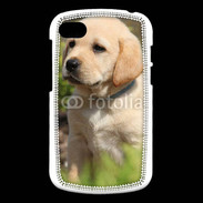 Coque Blackberry Q10 Portrait de chiot Labrador 800
