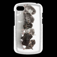 Coque Blackberry Q10 Petit chat en folie 500