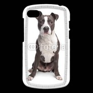 Coque Blackberry Q10 American Staffordshire Terrier puppy