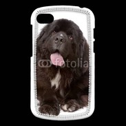 Coque Blackberry Q10 Chiot Terre neuve 500