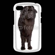 Coque Blackberry Q10 Terre Neuve 510