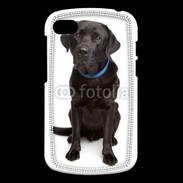 Coque Blackberry Q10 Labrador noir adulte 600