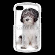 Coque Blackberry Q10 Schapendoes Dutch Sheepdog