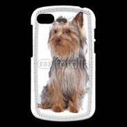 Coque Blackberry Q10 Yorkshire Terrier 16