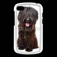 Coque Blackberry Q10 Briard adulte 600