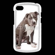 Coque Blackberry Q10 American staffordshire bull terrier