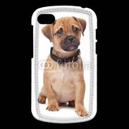 Coque Blackberry Q10 Cavalier king charles 700