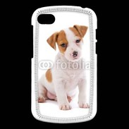 Coque Blackberry Q10 Jack russel terrier puppy 800