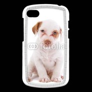 Coque Blackberry Q10 Jack russel terrier puppy 810