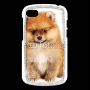 Coque Blackberry Q10 Spitz Dog 800