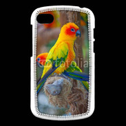 Coque Blackberry Q10 Aratinga Solstitialis