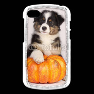 Coque Blackberry Q10 Chiot Berger Australien 25