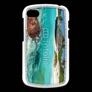 Coque Blackberry Q10 Belle plage avec tortue