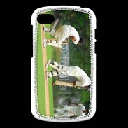 Coque Blackberry Q10 Joueurs de cricket 1