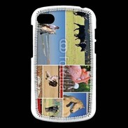 Coque Blackberry Q10 Beauté de la camargue