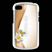 Coque Blackberry Q10 Beauté de femme et monoï