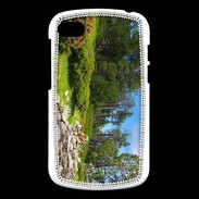 Coque Blackberry Q10 DP Rivière en montagne