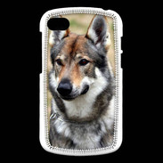 Coque Blackberry Q10 Portrait de chien PB