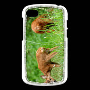Coque Blackberry Q10 Chevreuil PB 1