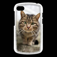 Coque Blackberry Q10 Portrait de chat PR