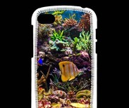 Coque Blackberry Q10 Poisson Tropical