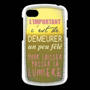 Coque Blackberry Q10 Un peu félé ZG