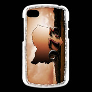 Coque Blackberry Q10 Guyane 973
