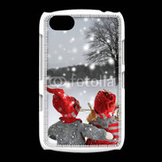 Coque BlackBerry 9720 hiver 5