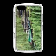 Coque BlackBerry 9720 Le marais Poitevin 1