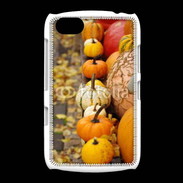 Coque BlackBerry 9720 Citrouilles