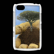 Coque BlackBerry 9720 Paysagiste