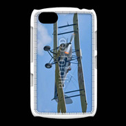 Coque BlackBerry 9720 Avion biplan 5