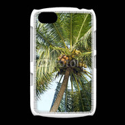 Coque BlackBerry 9720 Cocotier