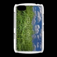 Coque BlackBerry 9720 Champs de cannabis