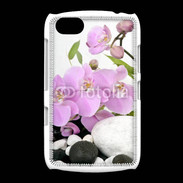 Coque BlackBerry 9720 Zen attitude 67